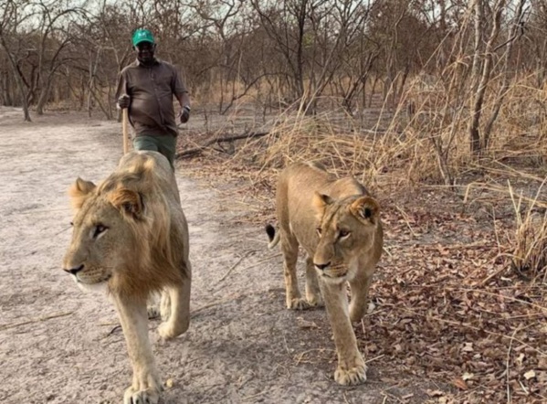 Cette photo d'Issa Sall, déçoit les militants du PUR Cette photo d'Issa Sall, déçoit les militants du PUR
