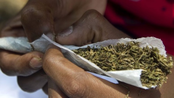 Détention et usage de drogue: Deux élèves en classe de 5 ème arrêtés à Bignona Détention et usage de drogue: Deux élèves en classe de 5 ème arrêtés à Bignona