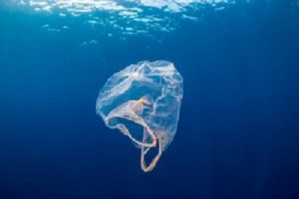 L’Europe peut-elle sauver l’environnement ?