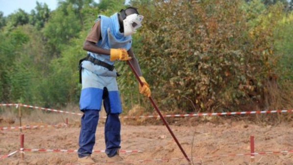 Arrêt du déminage à Goudomp Arrêt du déminage à Goudomp
