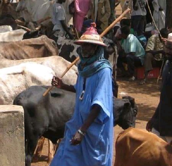 Drame à Linguère: Un éleveur ouvre le feu sur un berger