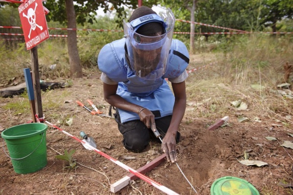 144 villages infectés par des mines en Casamance: L'ANRAC alerte