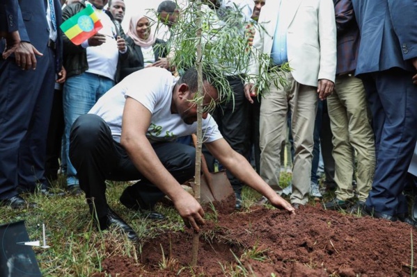 Le président Éthiopien et Cie plantent 353 millions d’arbres en 12H pour montrer l'exemple