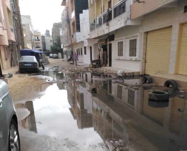 Parcelles Assainies: Les eaux usées envahissent la cité "Guentaba Fadia" Parcelles Assainies: Les eaux usées envahissent la cité "Guentaba Fadia"