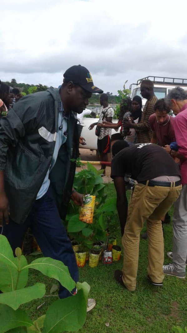  Affiniam: Plus de 1000 arbres plantés en une seule journée