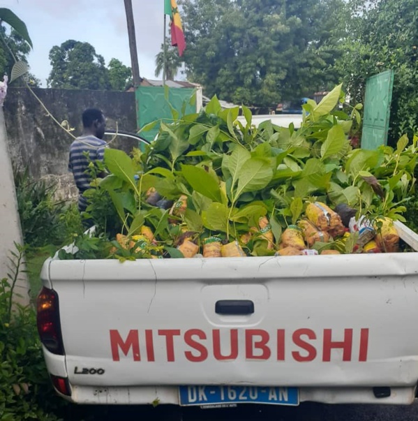  Affiniam: Plus de 1000 arbres plantés en une seule journée