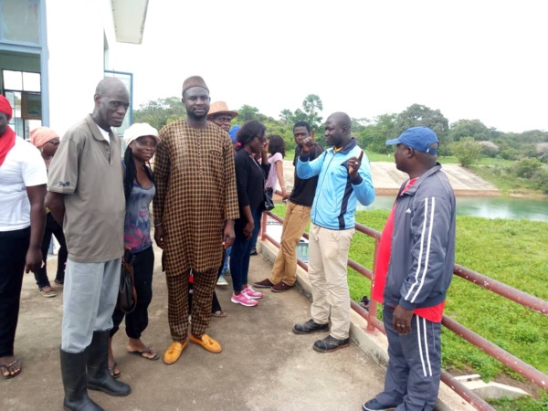  Affiniam: Plus de 1000 arbres plantés en une seule journée