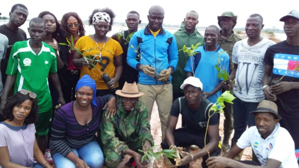 Lutte contre la "déforestation" au Sud: Le programme "Un Casamançais un arbre" lancé Lutte contre la "déforestation" au Sud: Le programme "Un Casamançais un arbre" lancé