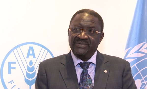 Papa Abdoulaye Seck nommé ambassadeur à la Fao Papa Abdoulaye Seck nommé ambassadeur à la Fao