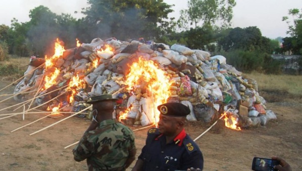 Guinée Bissau : Près de deux tonnes de cocaïne incinérées Guinée Bissau : Près de deux tonnes de cocaïne incinérées