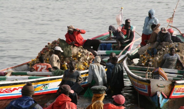 109 pêcheurs Sénégalais arrêtés en Guinée 109 pêcheurs Sénégalais arrêtés en Guinée