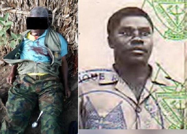 RDC: l'armée affirme avoir tué le chef de la rébellion rwandaise FDLR RDC: l'armée affirme avoir tué le chef de la rébellion rwandaise FDLR