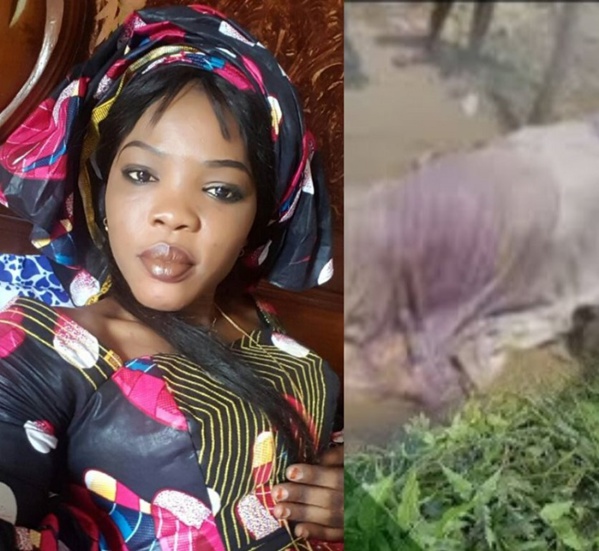 Drame à cité Fadia : Voici la femme retrouvée morte, les yeux arrachés (photo) Drame à cité Fadia : Voici la femme retrouvée morte, les yeux arrachés (photo)