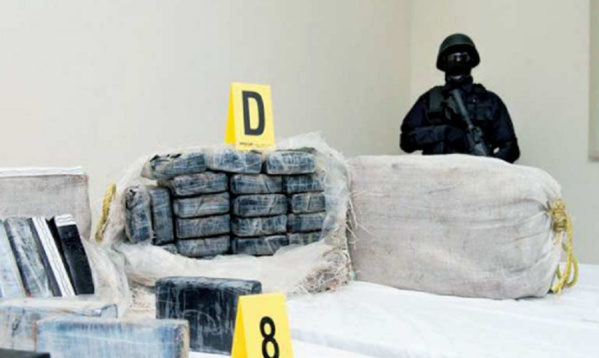 Création de 120 agences immobilières: Narcotrafiquants et blanchisseurs, en passe de prendre le pouvoir à Dakar Création de 120 agences immobilières: Narcotrafiquants et blanchisseurs, en passe de prendre le pouvoir à Dakar