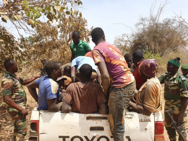 Trafic de bois : Plusieurs Gambiens arrêtés dans le Nord Sindian