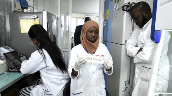 Coronavirus : Le Sénégal compte 4 nouveaux cas positifs dont 3 étrangers Coronavirus : Le Sénégal compte 4 nouveaux cas positifs dont 3 étrangers