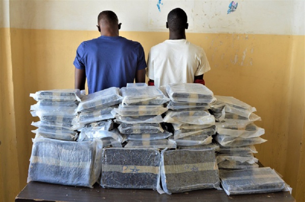 EXCLUSIF: Saisie de 7,625 Kg de Haschich à Saly EXCLUSIF: Saisie de 7,625 Kg de Haschich à Saly