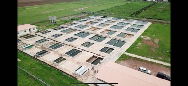 Souveraineté alimentaire : l’offre du Prodac (Par Bocar Diouf ) Souveraineté alimentaire : l’offre du Prodac (Par Bocar Diouf )