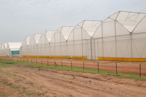 Souveraineté alimentaire : l’offre du Prodac (Par Bocar Diouf )