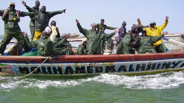 Octroi des licences de pêches: Aliou Ndoye tranche "définitivement" la question Octroi des licences de pêches: Aliou Ndoye tranche "définitivement" la question