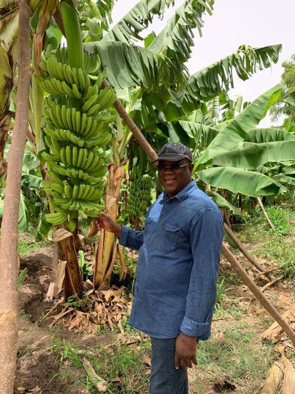 L'ancien ministre d'Etat, Abdoulaye BALDE se lance dans l'agriculture et ...