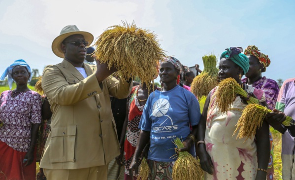 Casamance: Macky Sall prolonge les activités du PPDC Casamance: Macky Sall prolonge les activités du PPDC