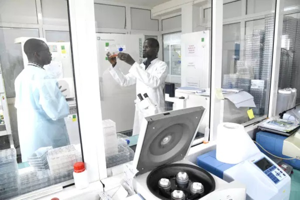 L’institut Pasteur cité dans un nouveau scandale de faux négatifs L’institut Pasteur cité dans un nouveau scandale de faux négatifs