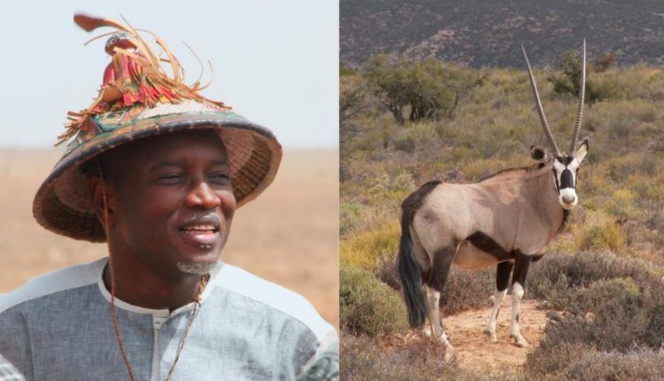 Transfert de gazelles vers la ferme du ministre de l’intérieur : Les dessous du protocole "Kilim" Transfert de gazelles vers la ferme du ministre de l’intérieur : Les dessous du protocole "Kilim"