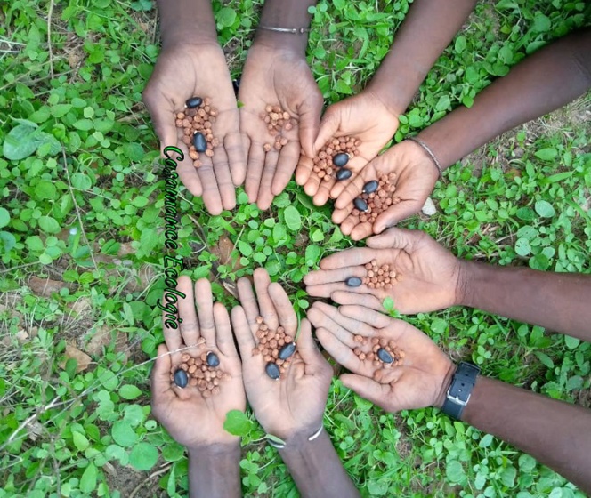 Casamance : Un potentiel oublié Casamance : Un potentiel oublié