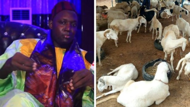 Tabaski 2020: La Cifar ravitaille 65 familles. Des moutons,10 mille masques et 3 millions remis... Tabaski 2020: La Cifar ravitaille 65 familles. Des moutons,10 mille masques et 3 millions remis...