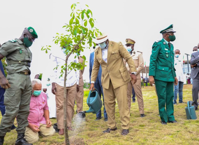 Macky Sall demande aux Sénégalais de lutter contre la "déforestation" Macky Sall demande aux Sénégalais de lutter contre la "déforestation"