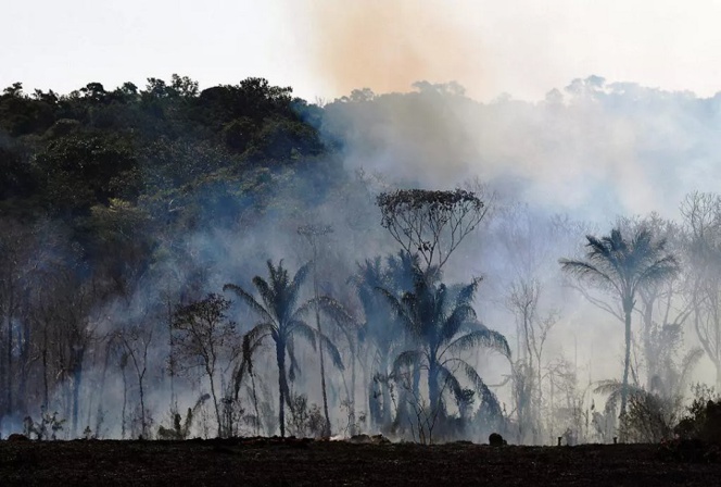 Au Brésil, l’Amazonie brûle dans l’indifférence générale