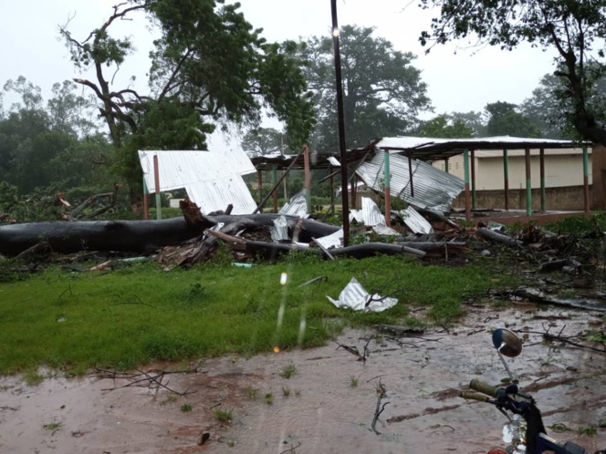 Pluies torrentielles à Ouonck: Deux fromagers terrassés et la tribune publique "défigurée" Pluies torrentielles à Ouonck: Deux fromagers terrassés et la tribune publique "défigurée"