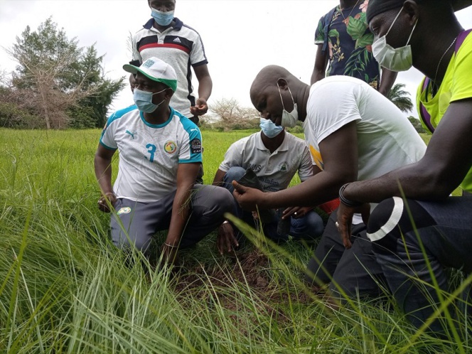 Plantation de 10.000 filaos: Le maire de Djimbéring lance l’opération... Plantation de 10.000 filaos: Le maire de Djimbéring lance l’opération...