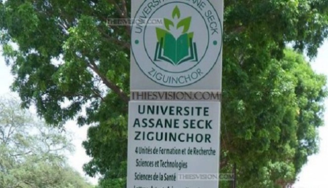 Résultats de la 42ème session du CAMES: L’université de Ziguinchor largement en tête avec 11 promus Résultats de la 42ème session du CAMES: L’université de Ziguinchor largement en tête avec 11 promus