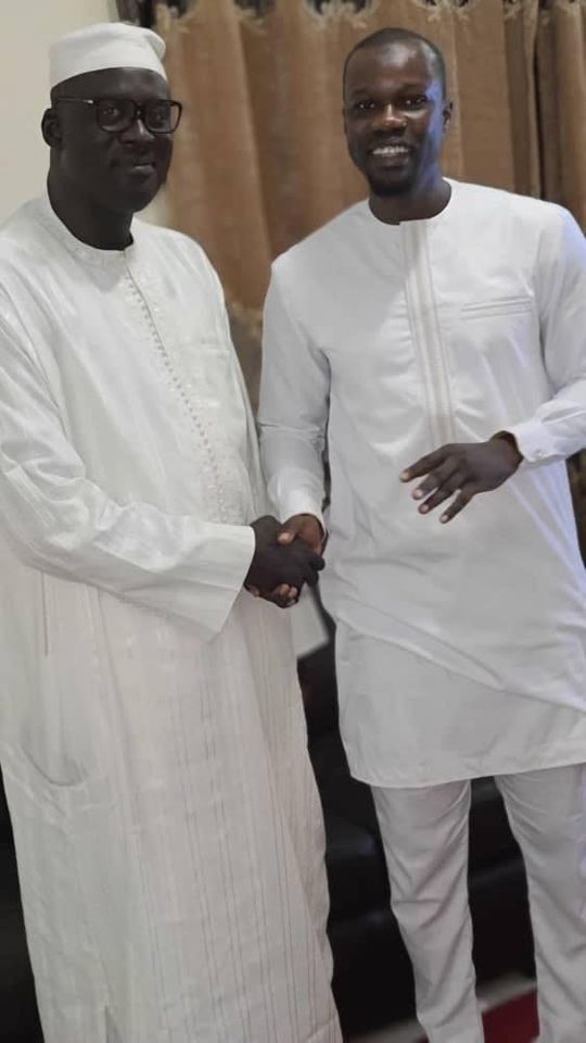 Quand le dernier remaniement gouvernemental fait le bonheur de Sonko...