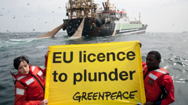 Greenpeace : "L’Europe veut le poisson du Sénégal mais rejette ses migrants"
