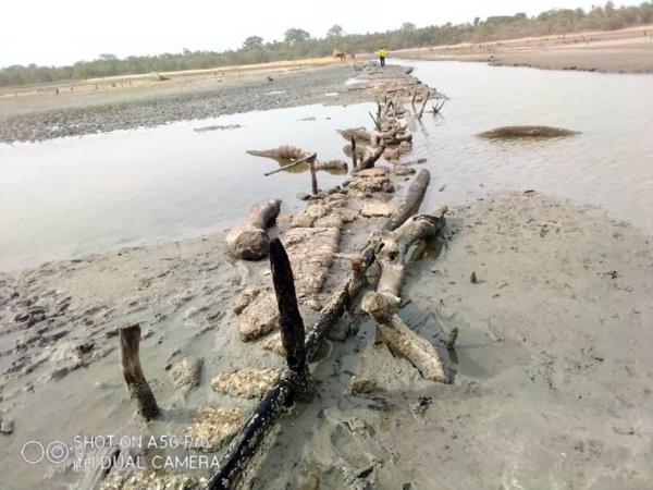 BIGNONA: A la découverte de Baranlir où les populations cotisent pour réaliser une piste de désenclavement