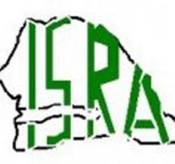 ISRA : Un traiteur remporte le marché du nettoiement (Rapport ARMP) ISRA : Un traiteur remporte le marché du nettoiement (Rapport ARMP)