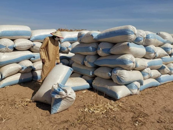 Aly Ngouille Ndiaye: "Nos récoltes ont été fructueuses...'