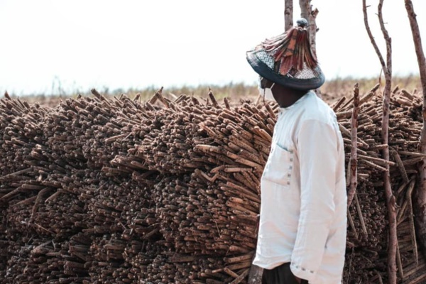 Aly Ngouille Ndiaye: "Nos récoltes ont été fructueuses...'
