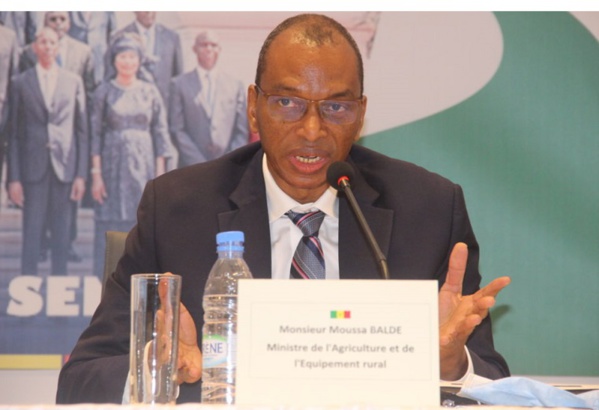 Commercialisation de l’arachide : Les assurances du ministre de l'agriculture, Moussa Baldé