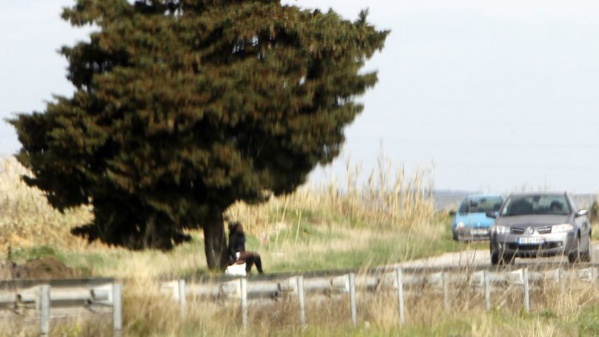 Une jeune fille traînée dans la forêt de Mbao et violée en plein jour Une jeune fille traînée dans la forêt de Mbao et violée en plein jour
