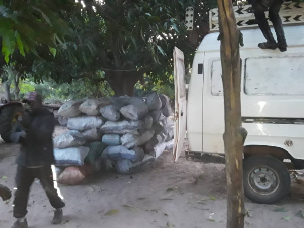 Casamance : Un camion transportant du bois et un minibus chargé de 85 sacs de charbon saisis par l'armée Casamance : Un camion transportant du bois et un minibus chargé de 85 sacs de charbon saisis par l'armée
