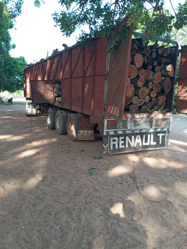 Casamance : Un camion transportant du bois et un minibus chargé de 85 sacs de charbon saisis par l'armée