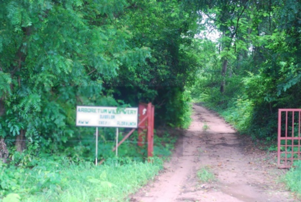 Boutoupa Camaracounda: Deux corps sans vie retrouvés dans la forêt de Bilas 
