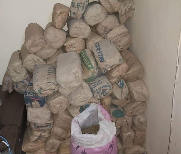 Route de Fafakourou: 127 kilos de chanvre saisis