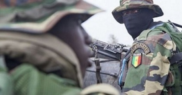 Ziguinchor: L’armée pilonne la forêt de Bilasse Ziguinchor: L’armée pilonne la forêt de Bilasse