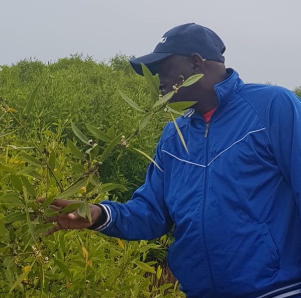 Benoit Sambou : "Evitons de polluer..." Benoit Sambou : "Evitons de polluer..."