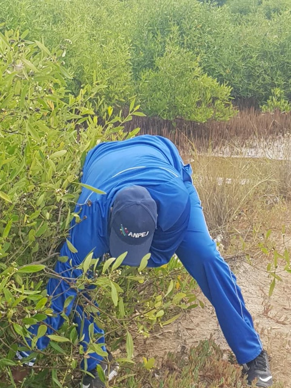 Benoit Sambou : "Evitons de polluer..." Benoit Sambou : "Evitons de polluer..."